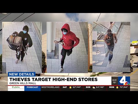 Thieves target high-end stores at Green Hills Mall